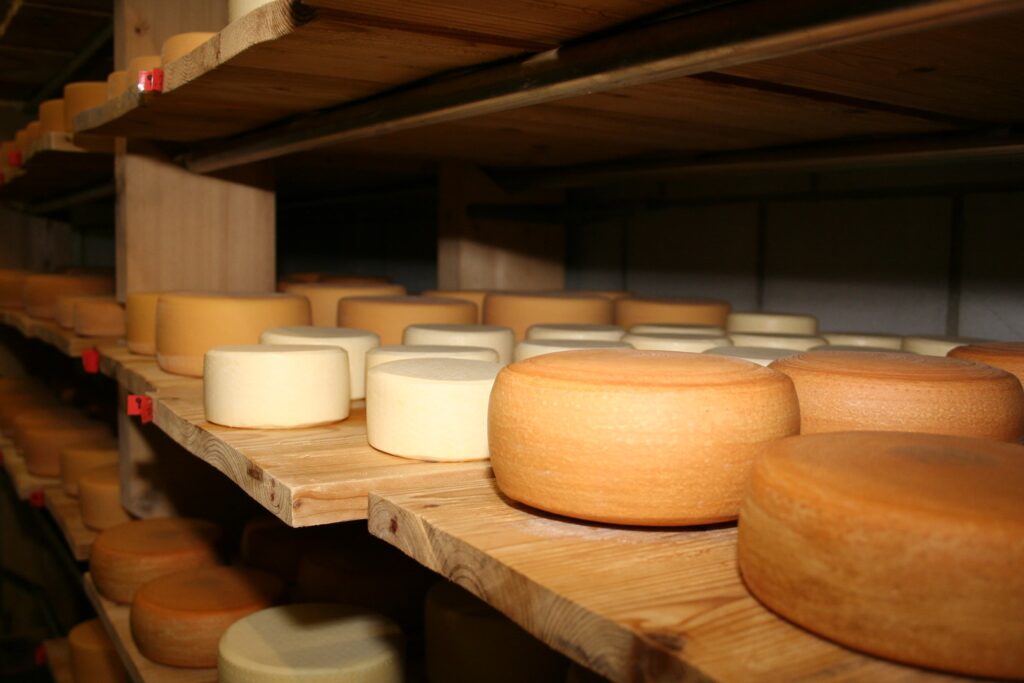 Tanti formaggi diversi in stagionatura su un ripiano di legno.