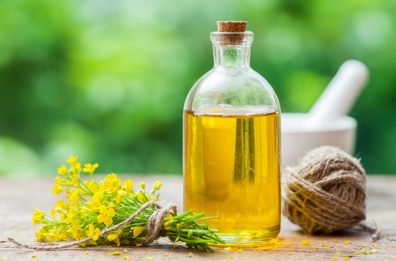 Olio di colza in una bottiglia di vetro sul tavolo, con accanto un mazzo di colza.