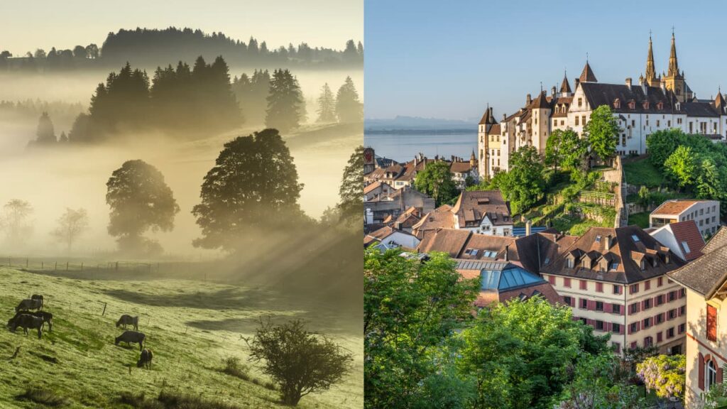 Nell'immagine della campagna principale a destra si vede la città di Neuchâtel e a sinistra dei bovini al pascolo.