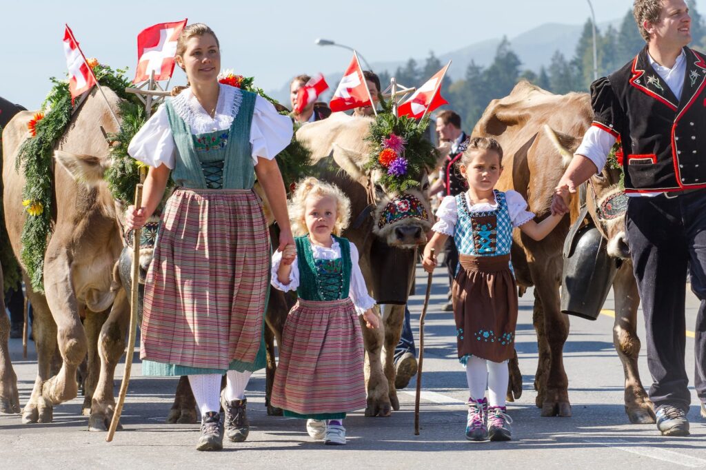 Una tradizionale transumanza alpina svizzera.